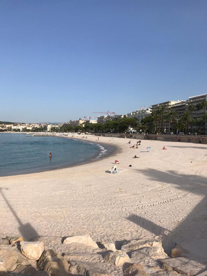 Tres Beau T2 Dans Parc Montfleury ,Proche Centre ,Au Calme 44 Bd Montfleury Apartment Cannes Bagian luar foto