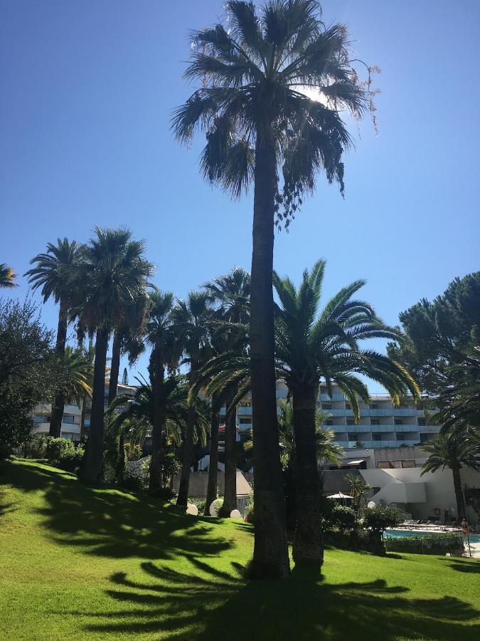 Tres Beau T2 Dans Parc Montfleury ,Proche Centre ,Au Calme 44 Bd Montfleury Apartment Cannes Bagian luar foto