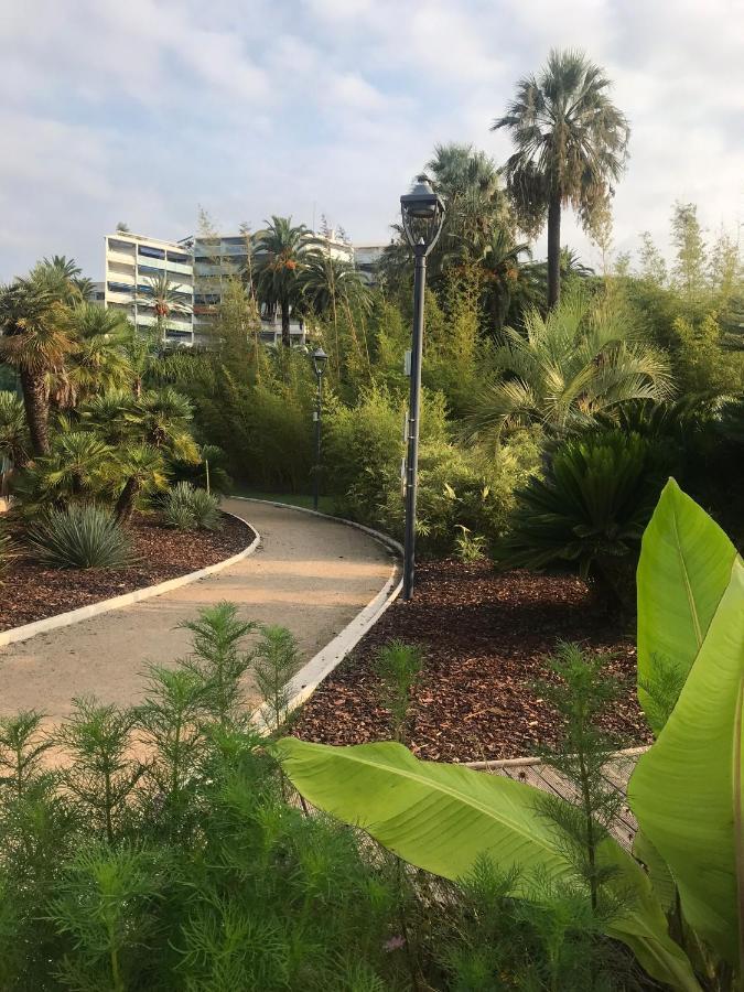 Tres Beau T2 Dans Parc Montfleury ,Proche Centre ,Au Calme 44 Bd Montfleury Apartment Cannes Bagian luar foto